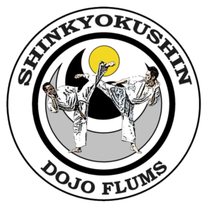 Dojo Flums